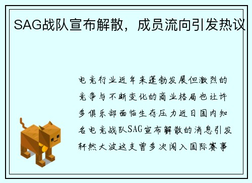 SAG战队宣布解散，成员流向引发热议
